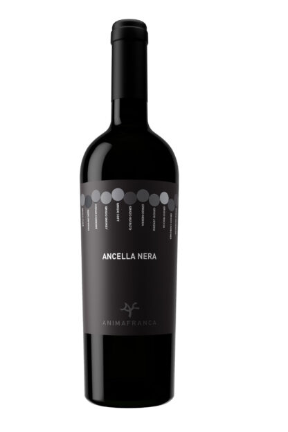 Ancella nera - Casa Baccichetto