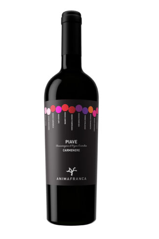 Carmenere DOC Piave - Casa Baccichetto