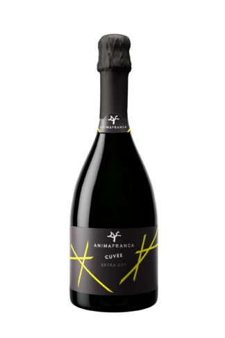 Spumante Cuvée Extra Dry - Casa Baccichetto
