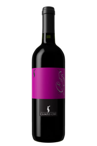 Cabernet Franc IGT Marca Trevigiana - Casa Baccichetto