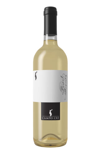 Pinot bianco IGT Marca Trevigiana - Casa Baccichetto