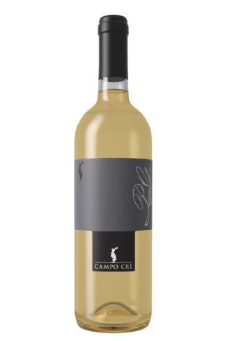 Pinot Grigio IGT Marca Trevigiana - Casa Baccichetto