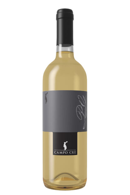 Pinot Grigio IGT Marca Trevigiana - Casa Baccichetto