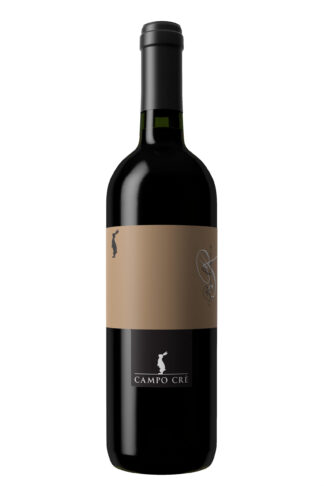 Raboso IGT Marca Trevigiana - Casa Baccichetto