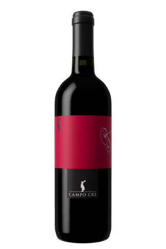 Refosco dal Peduncolo Rosso IGT Marca Trevigiana - Casa Baccichetto